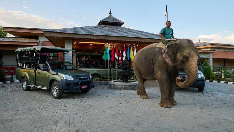 The hotel entrance with safari jeeps and an elephant with a rider atop - Royal Tulip, Chitwan