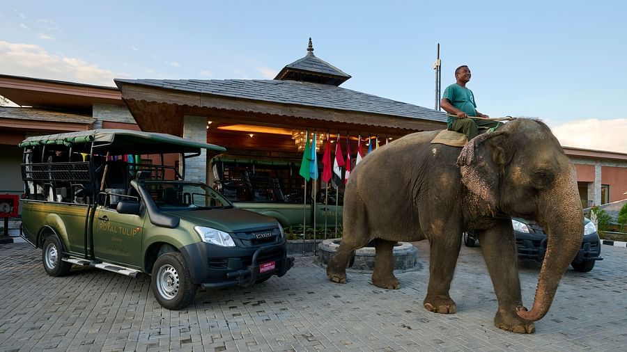 The hotel entrance with safari jeeps and an elephant with a rider atop - Royal Tulip, Chitwan