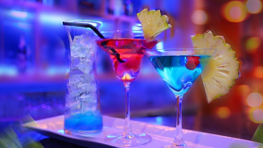 360 Degree Bar at RS Sarovar Portico, Palampur Hotels 3