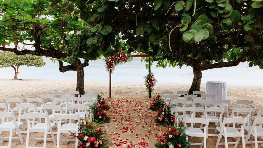 Beach wedding ceremony setup with white chairs arranged along a sandy aisle decorated with flower petals leading to a floral arch under lush green trees by the sea.