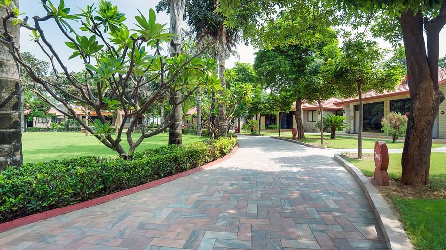 An image of a pavement with trees on both side and a lawn, leading to a property - Shri Radha Brij Vasundhara Resort & Spa, Mathura