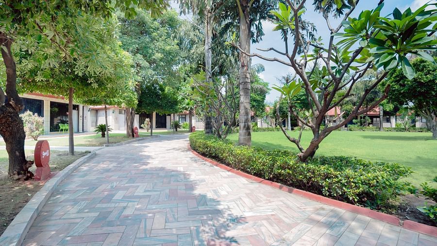 An image of a pavement with trees on both side and a lawn, leading to a property - Shri Radha Brij Vasundhara Resort & Spa, Mathura