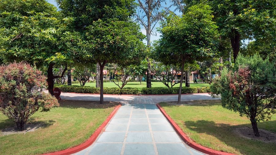 An image of a pavement between a huge lawn with different kinds of trees and plants -Shri Radha Brij Vasundhara Resort & Spa, Mathura