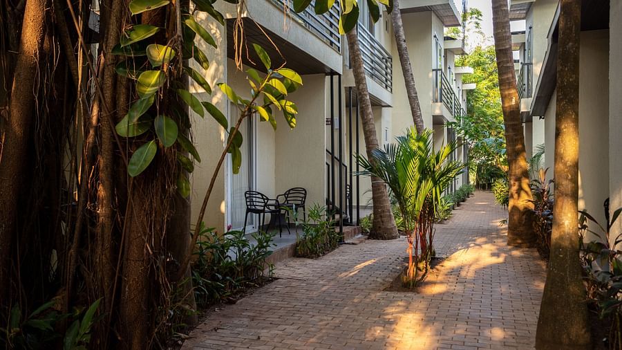image of a common pathways in between the cottages during an early evening at sibaya beach resort, morjim beach