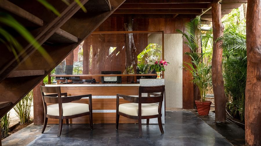 image of the reception at sibaya beach resort, morjim beach that features two off-white coloured cushioned chairs in front of the reception desk nestled in lush greenery
