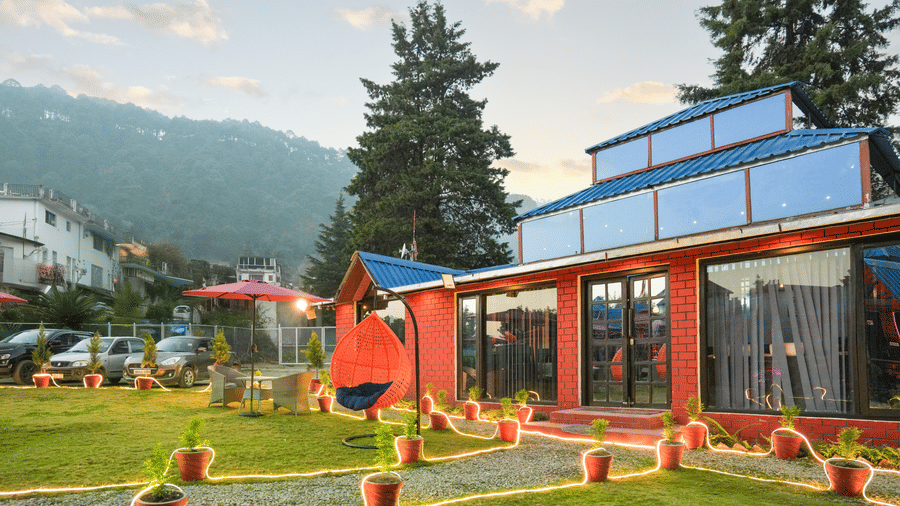 A building with glass doors and windows near two huge trees, and decorated front yard with a rocking chair