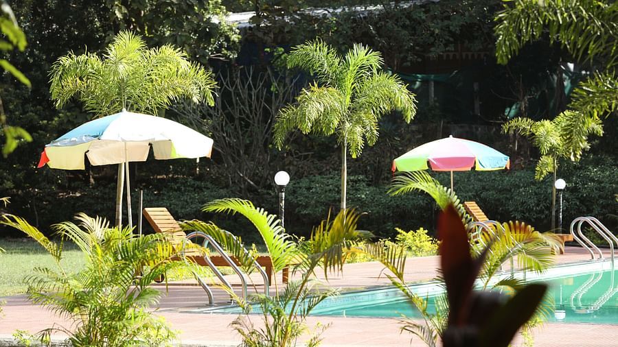 swimming-pool with clear blue waters and multiple umbrellas and loungers placed on the edge of the pool. Best place to relax while soaking up the sun.