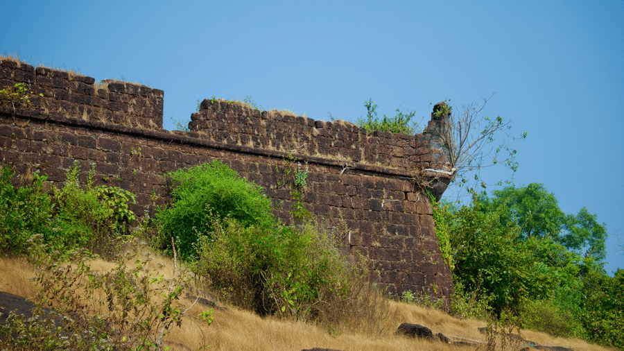 view of a fort surrounded by greenery and ocean