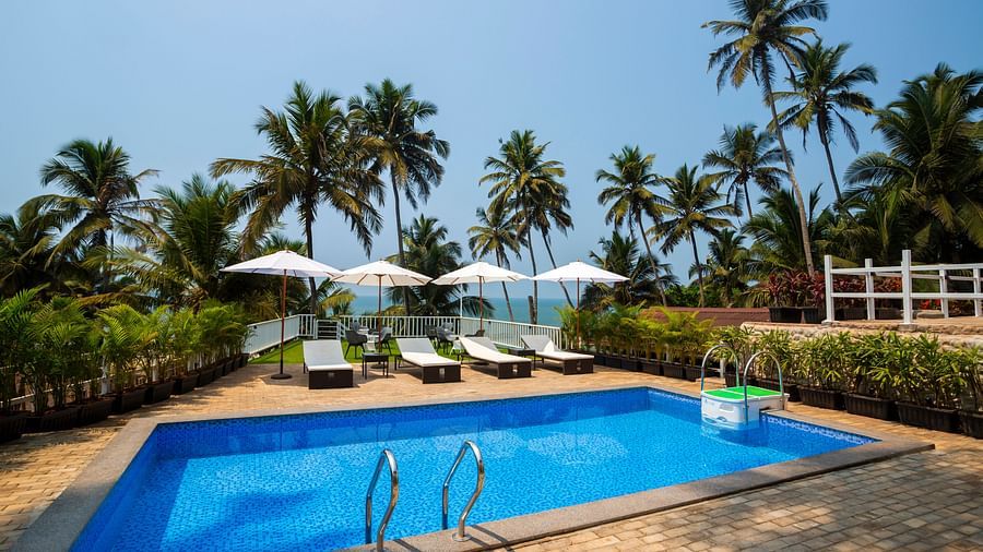 an image of a pool with clear blue water and surrounded by green coconut trees - Stone Wood Hotels & Resorts