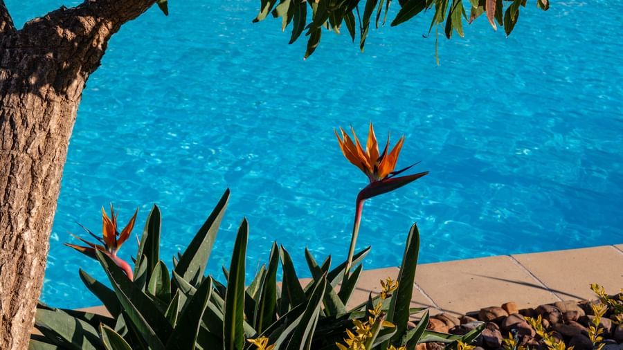 grant-durr-MfsoiDBTPx8-unsplash