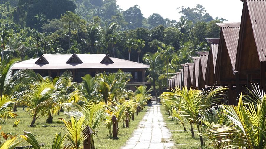 Lawn in front of the at the cottages in Havelock