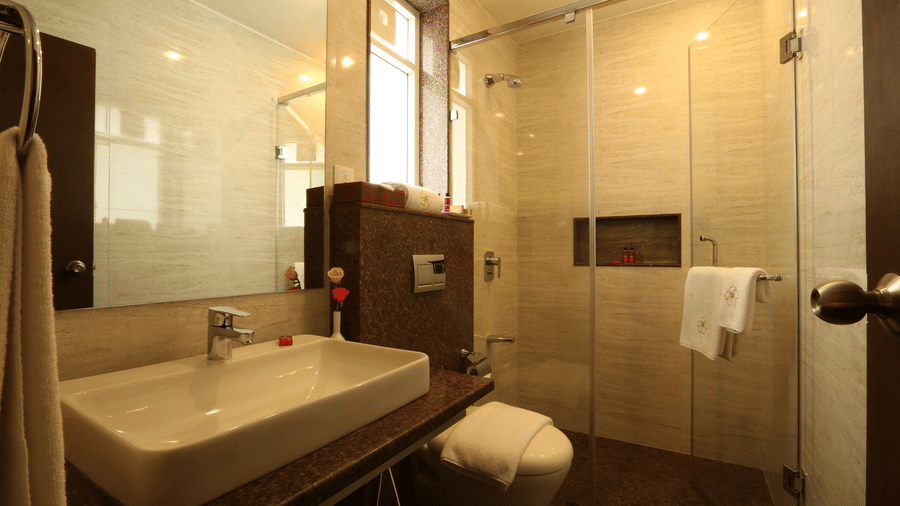 A modern bathroom featuring a glass-enclosed walk-in shower, large vanity mirror, counter basin, and modern fixtures at Temple Tree Hotel, Bangalore.