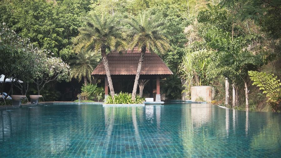 A view of the Swimming pool with two palm trees in the centre - Ananta Udaipur