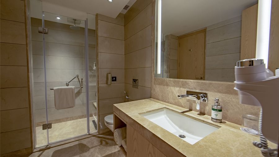 Suite Bathroom
