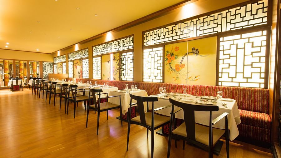 Chin Chin - restaurant in Coimbatore 2