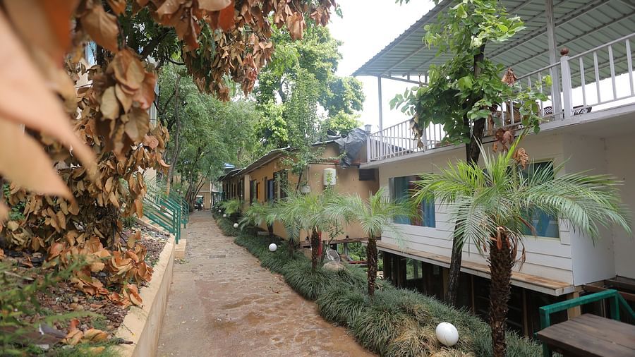 stone pathway with trees on one side and accommodations on the other side.
