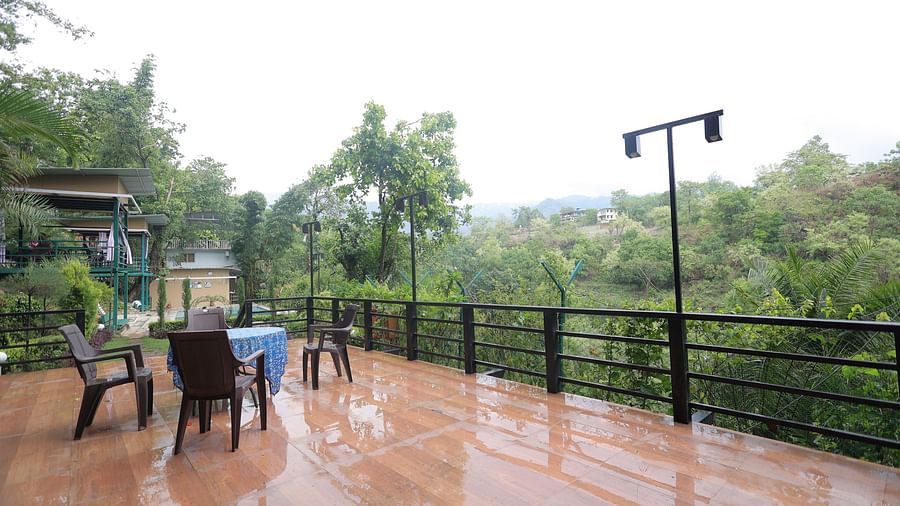 wooden benches positioned under open air to enjoy soothing forest views.