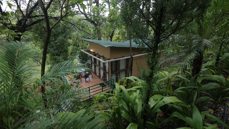 panoromic view of a building amidst a host of trees and is styled in a traditional wood house theme.
