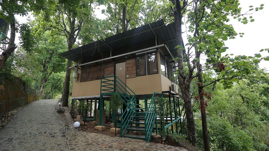 one building in middle of forest area supported by wooden pillars and has a tilted roof.