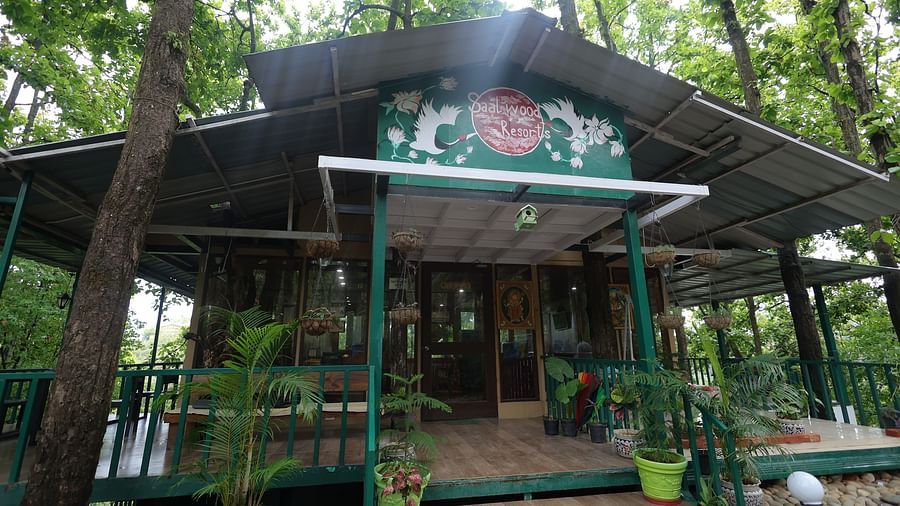 a tin roofed building in middle of forest area with wooden structures supporting the roof.  The floor has wooden theme tiles.