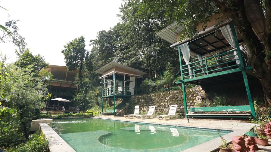 swimming pool at The Sal Woods