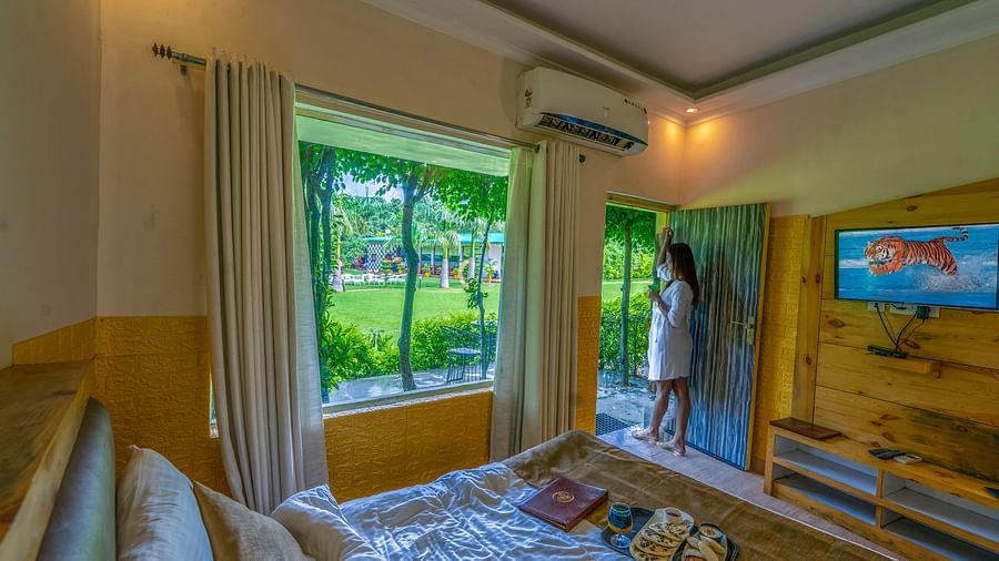 A comfy room with beautiful view.