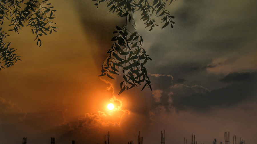A view of the sun setting in Bharuch with different hues in the sky and tree branches in the foreground.