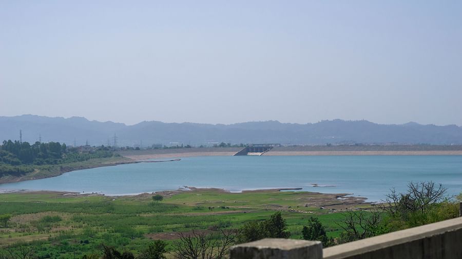 A dam in the background with grass and small shrubs in the foreground.