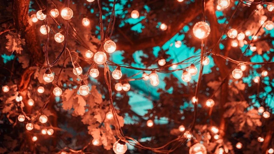 Image of trees beautifully decorated with golden lights.