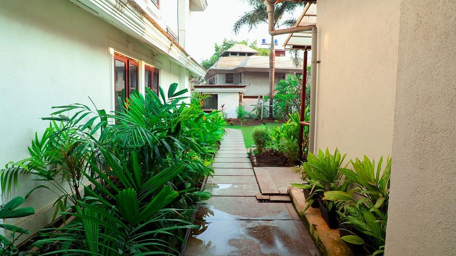 plants in a corridor of White pearl suites by rosetum 