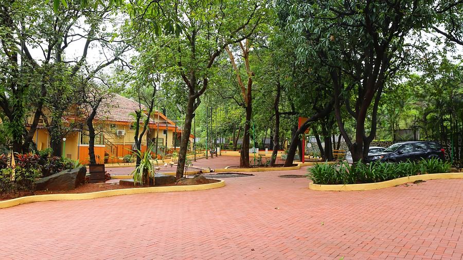 the outside space of the resort decked with trees all around - Zara's Resort 1