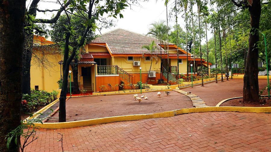 the outside space of the resort decked with trees all around - Zara's Resort 4