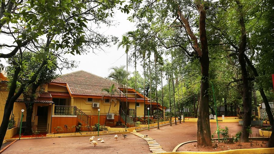 the outside space of the resort decked with trees all around - Zara's Resort
