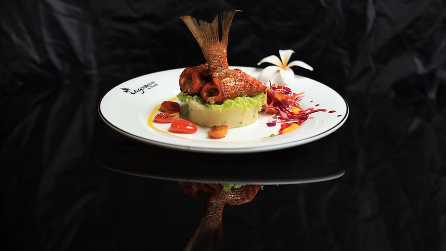 fish dish