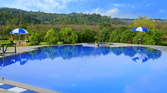 Recreation at the golden tusk Jim Corbett, Activities in Jim Corbett 11