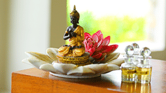 The Golden Flower Spa Therapies The golden tusk rsort Jim Corbett resorts in Jim corbett 4