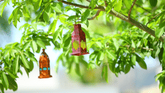 facade, The Golden Tusk Jim Corbett, Jim Corbett resort 6