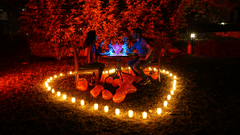 private dining- The Golden tusk