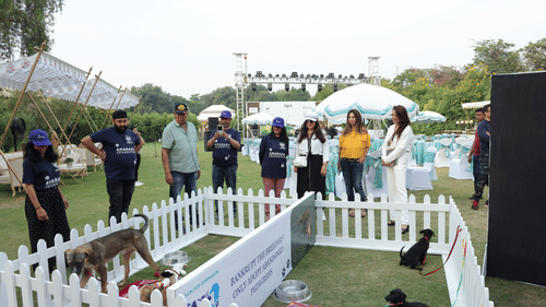 Participants at an outdoor event with a fenced area for pets