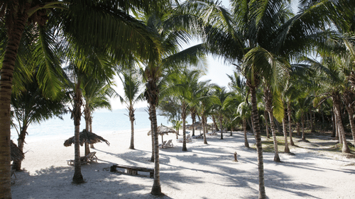 Private Beach at Silver Sand Resort, Havelock