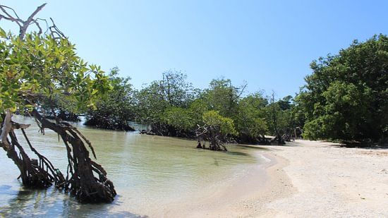 Private Beach