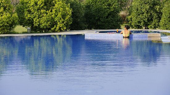  swimming pool resort  - The Golden tusk, jim corbett