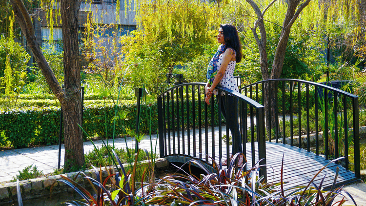 Best  Villa resort at jim corbett- The Golden Tusk