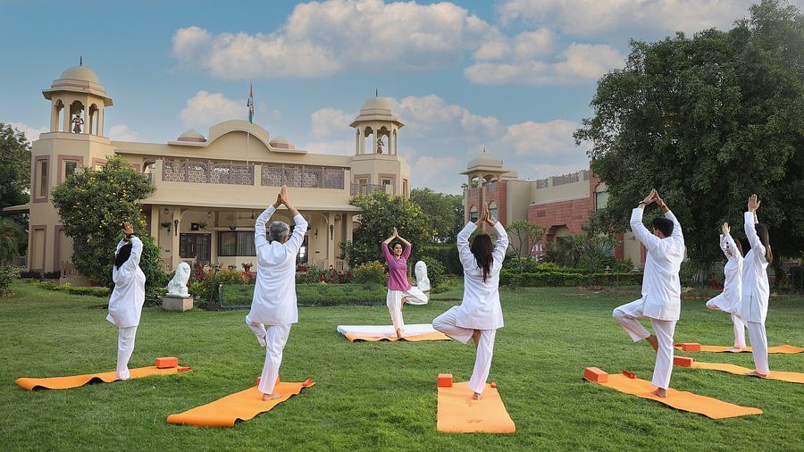 people doing yoga in a lawn