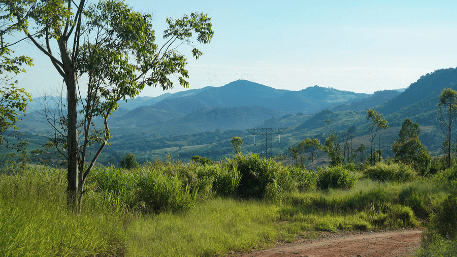 Sakleshpur with Kids: A Parent’s Guide to a Safe Summer Vacation 