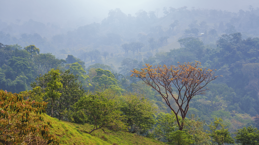The 3-Day “Slow Travel” Summer Itinerary for Sakleshpur 