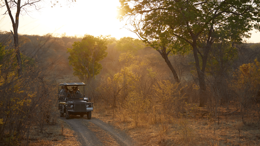 What to Pack for a Jungle Safari in April/May 