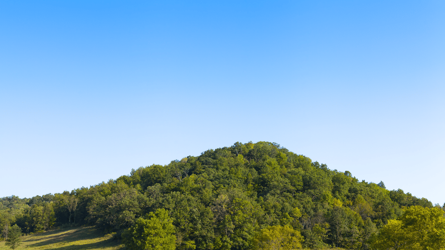 Why Pandavar Gudda is a Must-Visit Spot in Sakleshpur