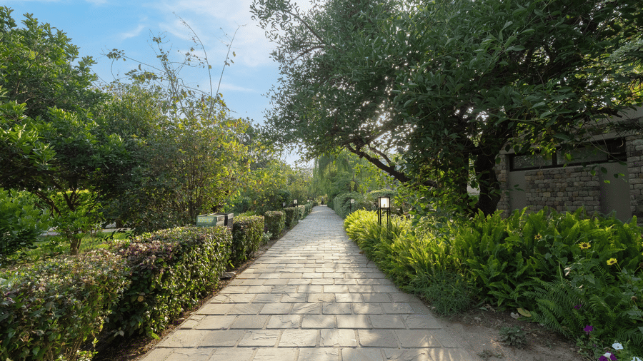 Golden Tusk Shoot-IMG 0619