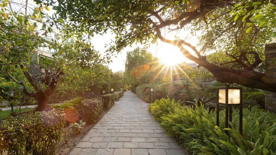 Floral Walkway